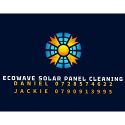 Solar Panel Cleaning Service